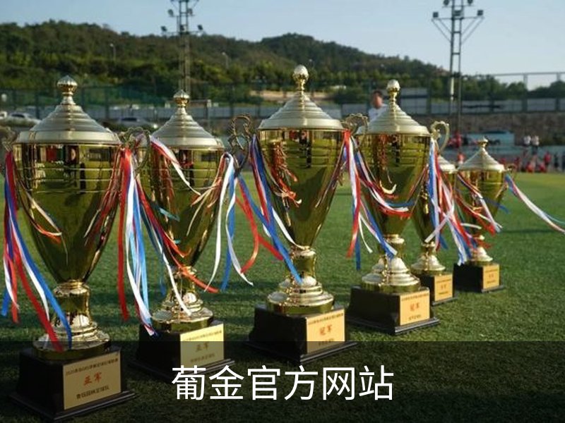 关于葡金官方网站